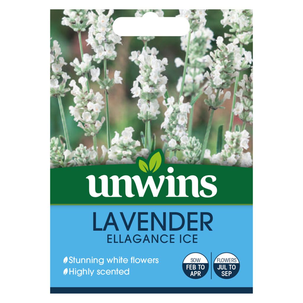 Unwins Lavender Ellagance Ice Gro-Sure Seeds 5051618016902 2